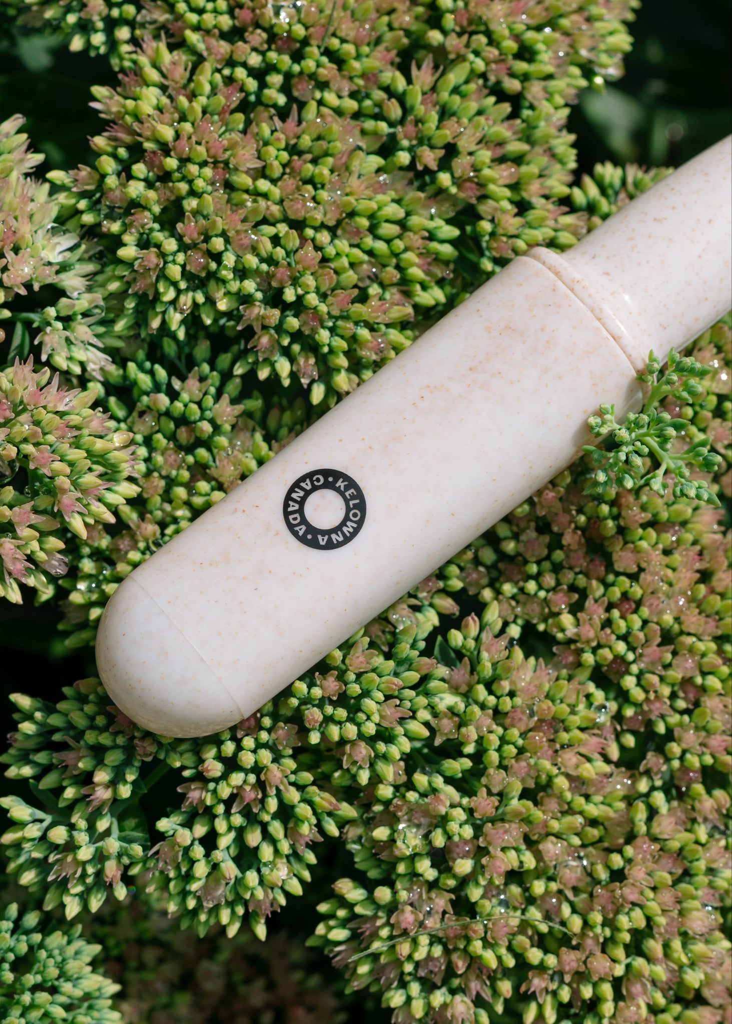 White cylindrical object with a brand logo on a green plant background