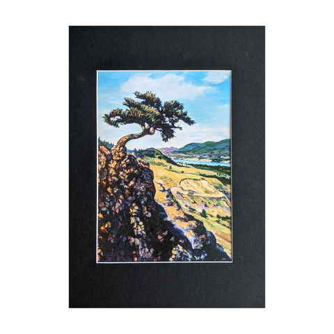 Sandhill Pine Print