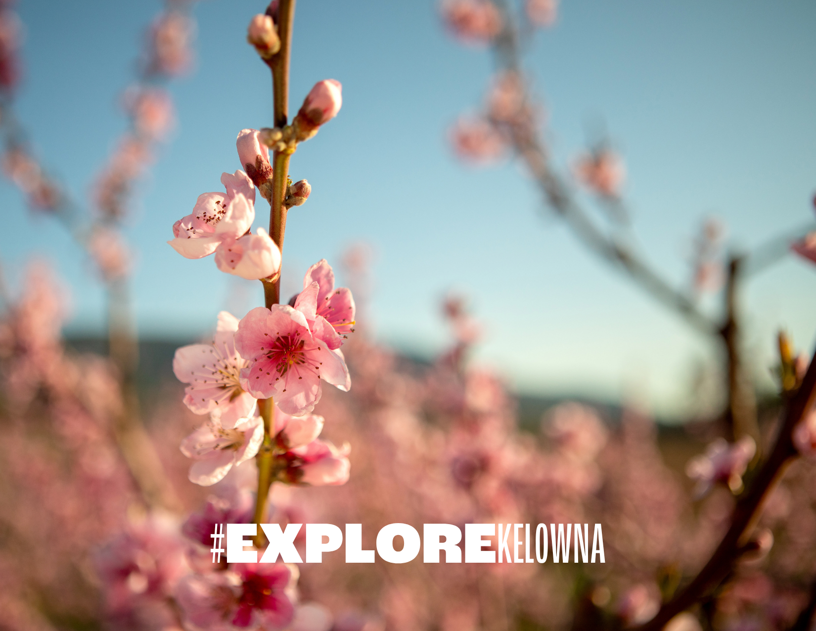 Explore Kelowna Photo Postcards
