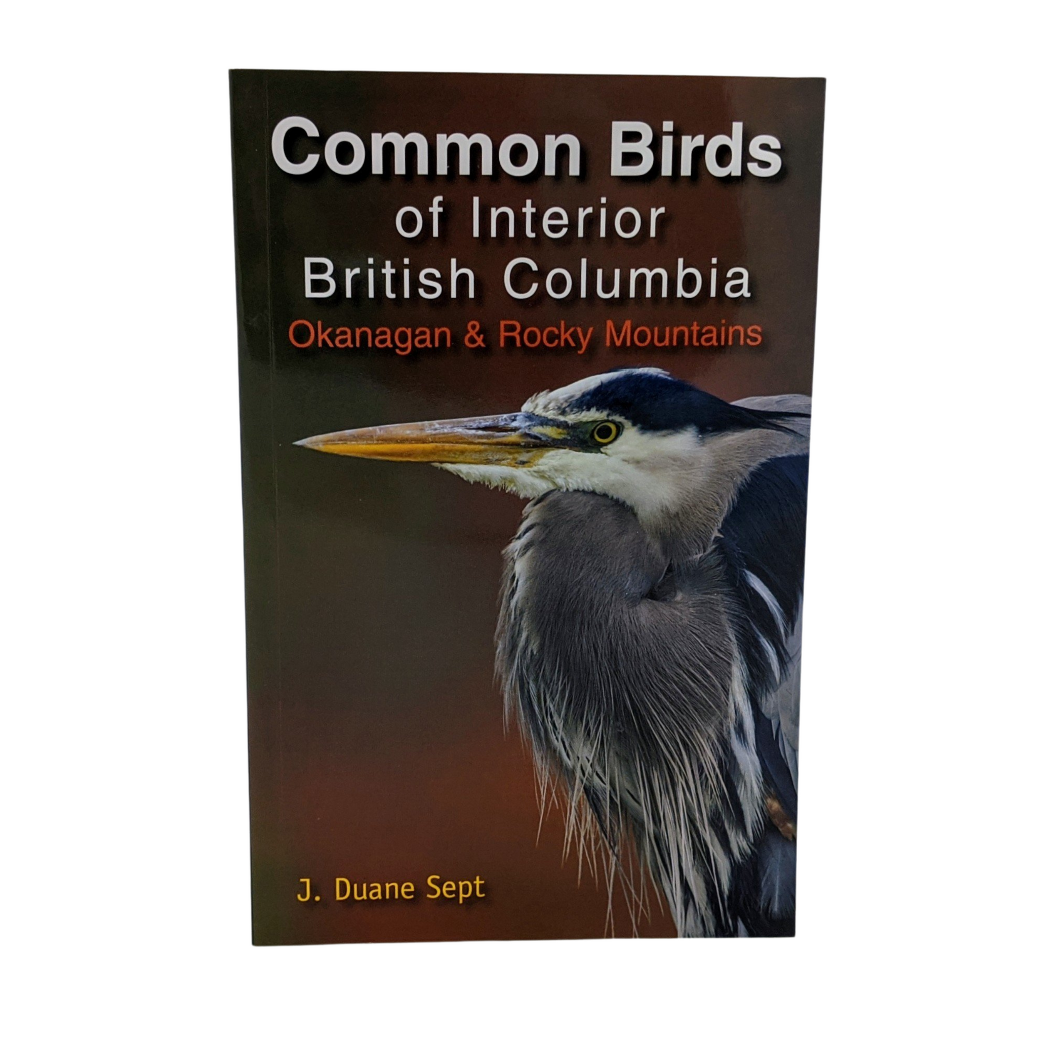Common Birds of Interior British Columbia
